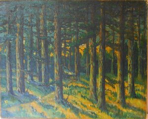 ForestnSlovenscina: Gozdn
